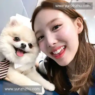 羿沁美